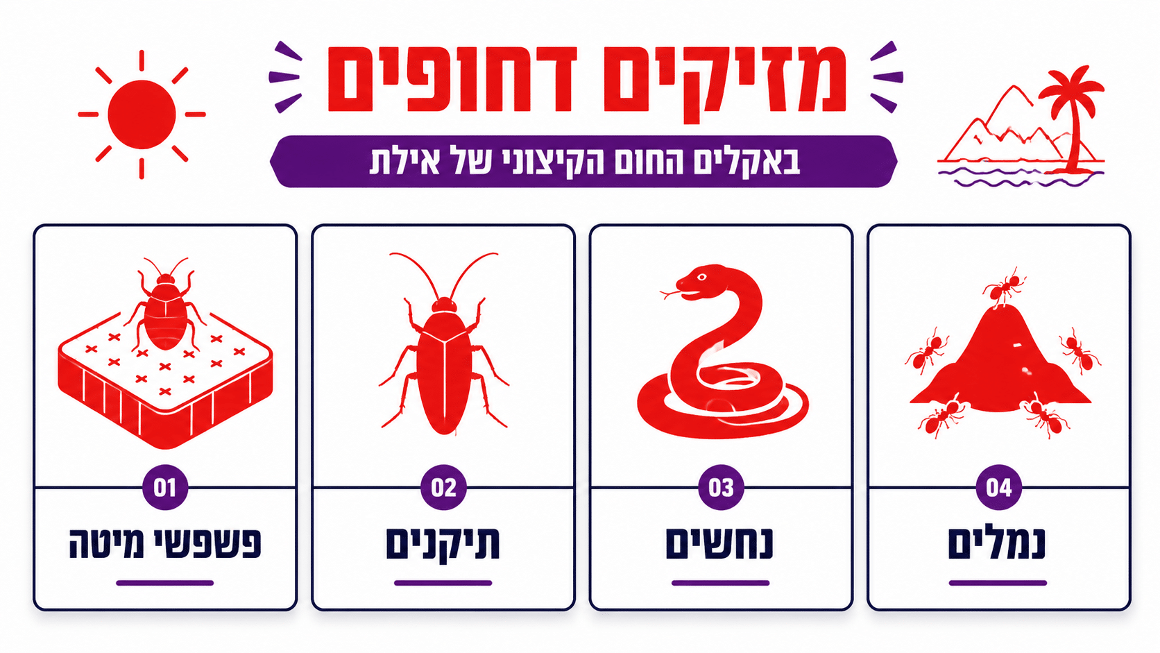 כמה עולה הדברה דחופה באילת