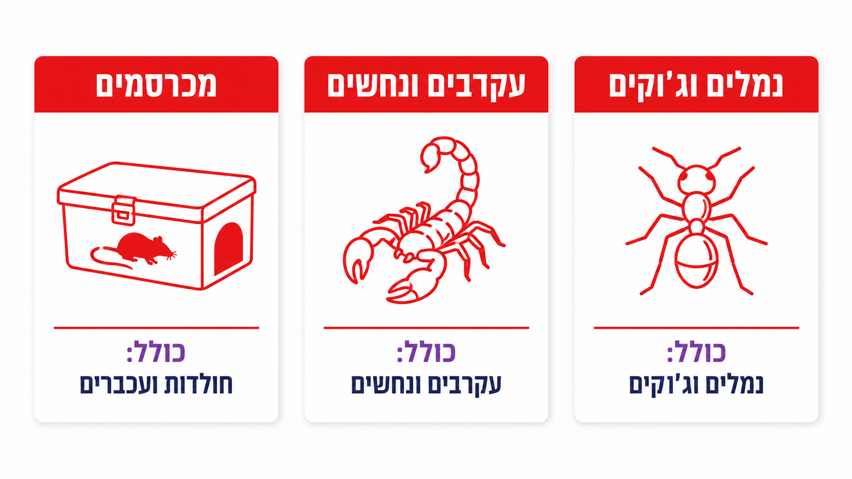 איך נערכים נכון לביקור המדביר